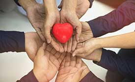 Hand Heart Body Donation