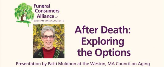 After Death: Exploring the Options