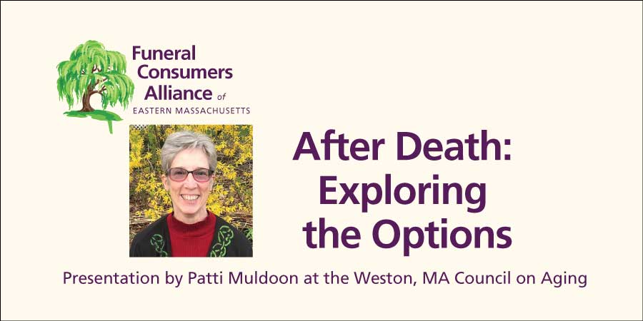 After Death: Exploring the Options