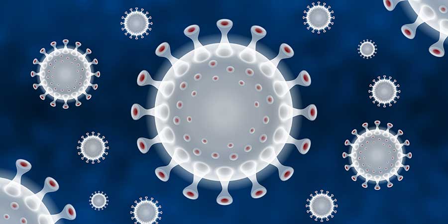 Coronavirus feature
